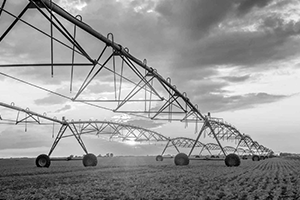 seg-agri seg-agri